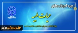 برگزاری جشنواره آموزش مجازی ویژه کارکنان ومدیران -استادان -دانشجویان  2