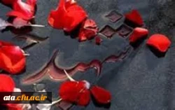 شرکت در مراسم غبار روبی و عطر افشانی مزار مطهر شهدا 2