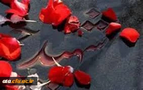 شرکت در مراسم غبار روبی و عطر افشانی مزار مطهر شهدا