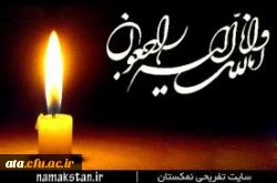 کل نفس ذائقه الموت ثم الینا ترجعون