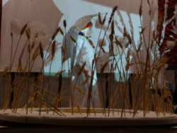 جشنواره نمایش عروسکی دانشجویی پردیس علامه طباطبائی ارومیه  با معرفی برگزیدگان به کار خود پایان داد