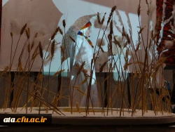 جشنواره نمایش عروسکی دانشجویی پردیس علامه طباطبائی ارومیه  با معرفی برگزیدگان به کار خود پایان داد