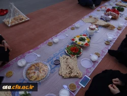 برگزاری صبحانه کاری در محوطه پردیس علامه طباطبائی ارومیه

 5