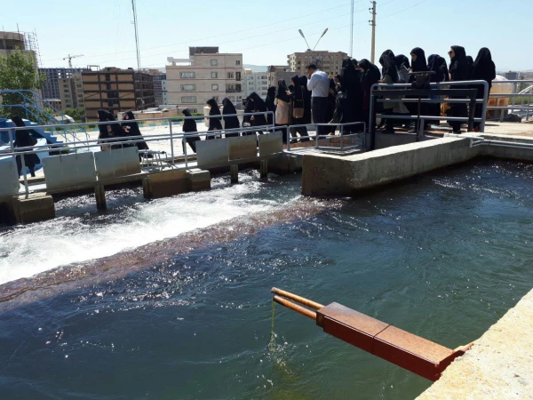 همزمان با قرارگیری در هفته صرفه جویی در مصرف آب؛

دانشجومعلمان دانشگاه فرهنگیان ارومیه از تصفیه خانه آب آشامیدنی شهرستان ارومیه بازدید کردند 5