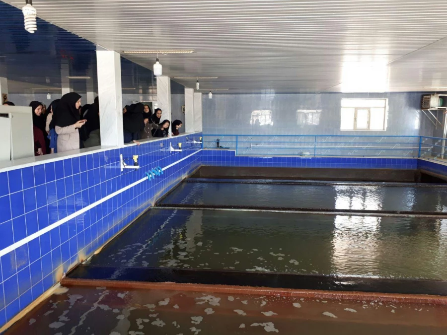 همزمان با قرارگیری در هفته صرفه جویی در مصرف آب؛

دانشجومعلمان دانشگاه فرهنگیان ارومیه از تصفیه خانه آب آشامیدنی شهرستان ارومیه بازدید کردند 6