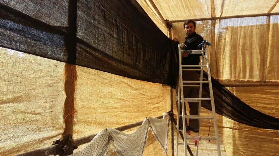 IMG_20180921_214356_415