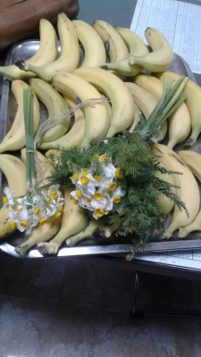 همزمان با ولادت با سعادت حضرت فاطمه الزهرا (س)

دیدار دانشجومعلمان پردیس علامه طباطبایی ارومیه از سرای سالمندان فردوس 2