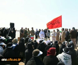 ازدواج دانشجویی در کنار بهشت آبی اروند زیر سایه پرچم آقا امام رضا (ع) 2