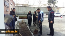 استقبال از بهار با غرس نهال در محوطه پردیس علامه طباطبایی ارومیه 2