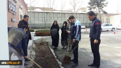 استقبال از بهار طبیعت با غرس نهال در محوطه پردیس علامه طباطبایی ارومیه