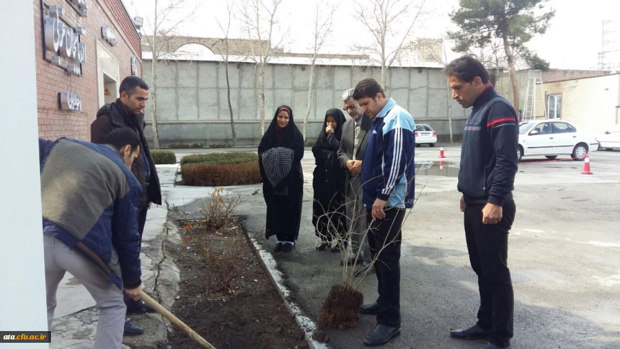 استقبال از بهار با غرس نهال در محوطه پردیس علامه طباطبایی ارومیه 2