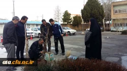 استقبال از بهار با غرس نهال در محوطه پردیس علامه طباطبایی ارومیه 3
