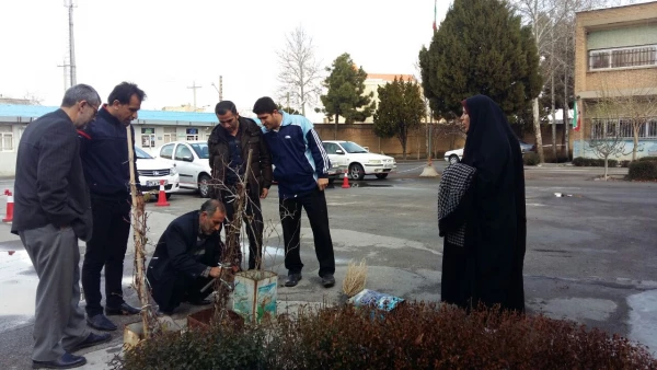استقبال از بهار با غرس نهال در محوطه پردیس علامه طباطبایی ارومیه 3