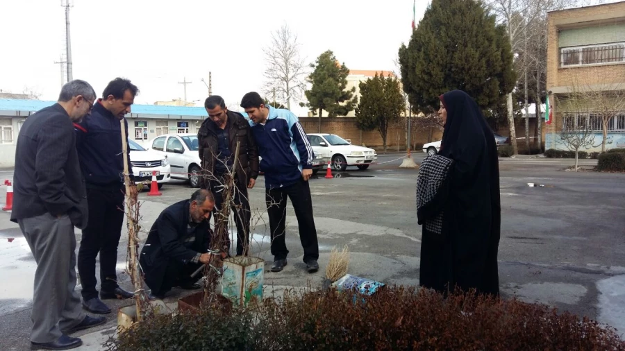 استقبال از بهار با غرس نهال در محوطه پردیس علامه طباطبایی ارومیه 3