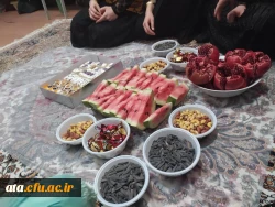 برگزاری مراسم شب یلدا در پردیس علامه طباطبایی ارومیه 5
