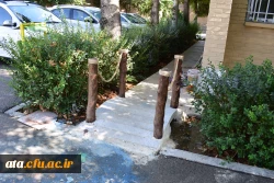 اجرای عملیات زیباسازی محوطه پردیس علامه طباطبایی ارومیه  6